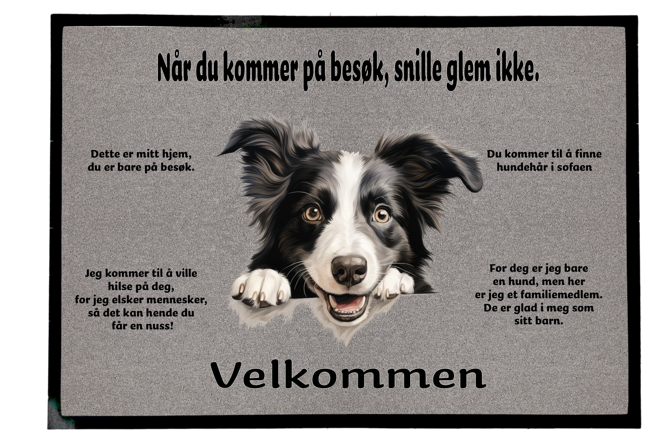 Dørmatte Bodercollie 6