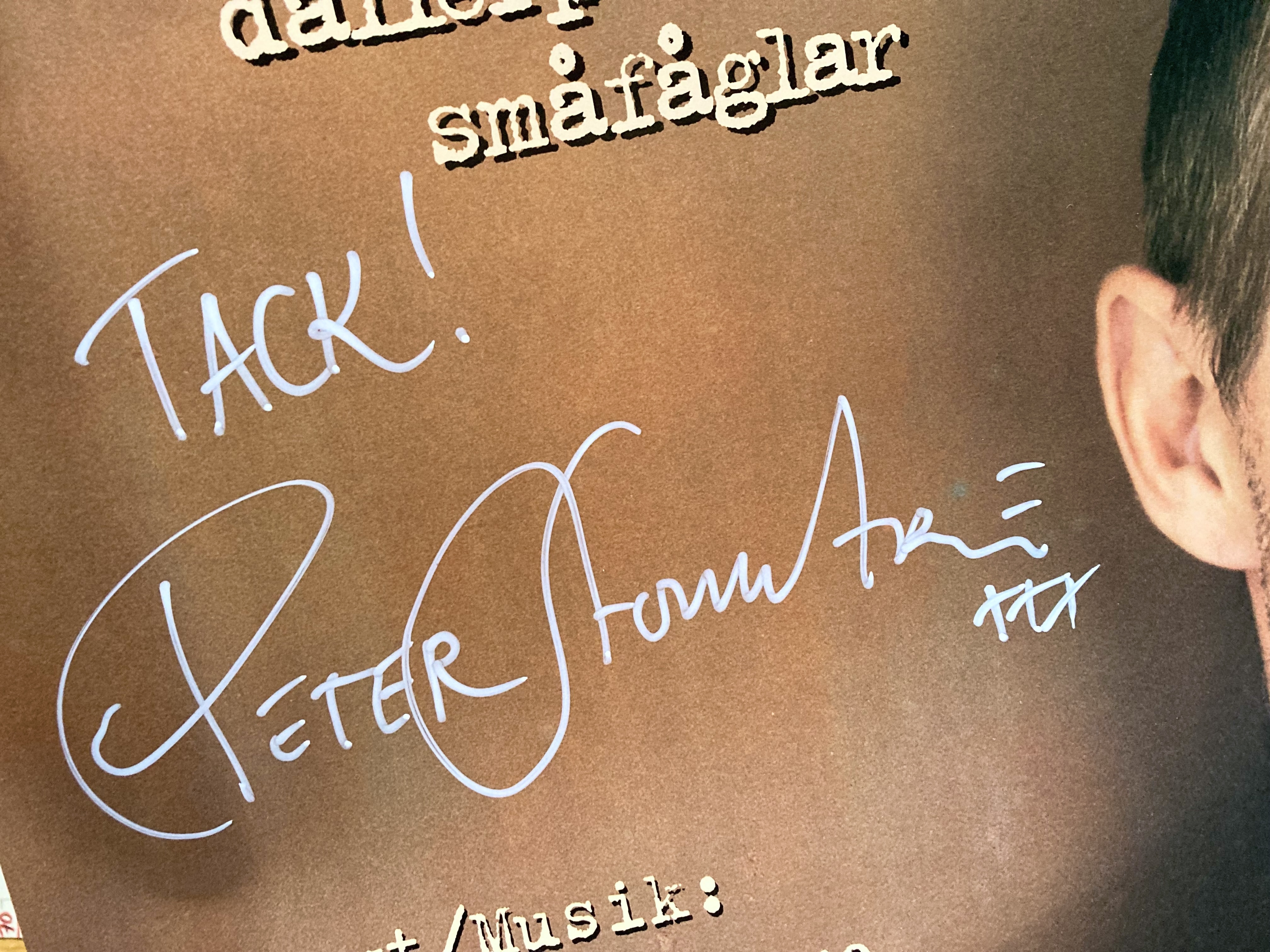 PETER STORMARE - Dallerpölsa & Småfåglar (2002) SIGNED CD Promo poster - 3
