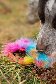 Treat Pocket Fake Fur M