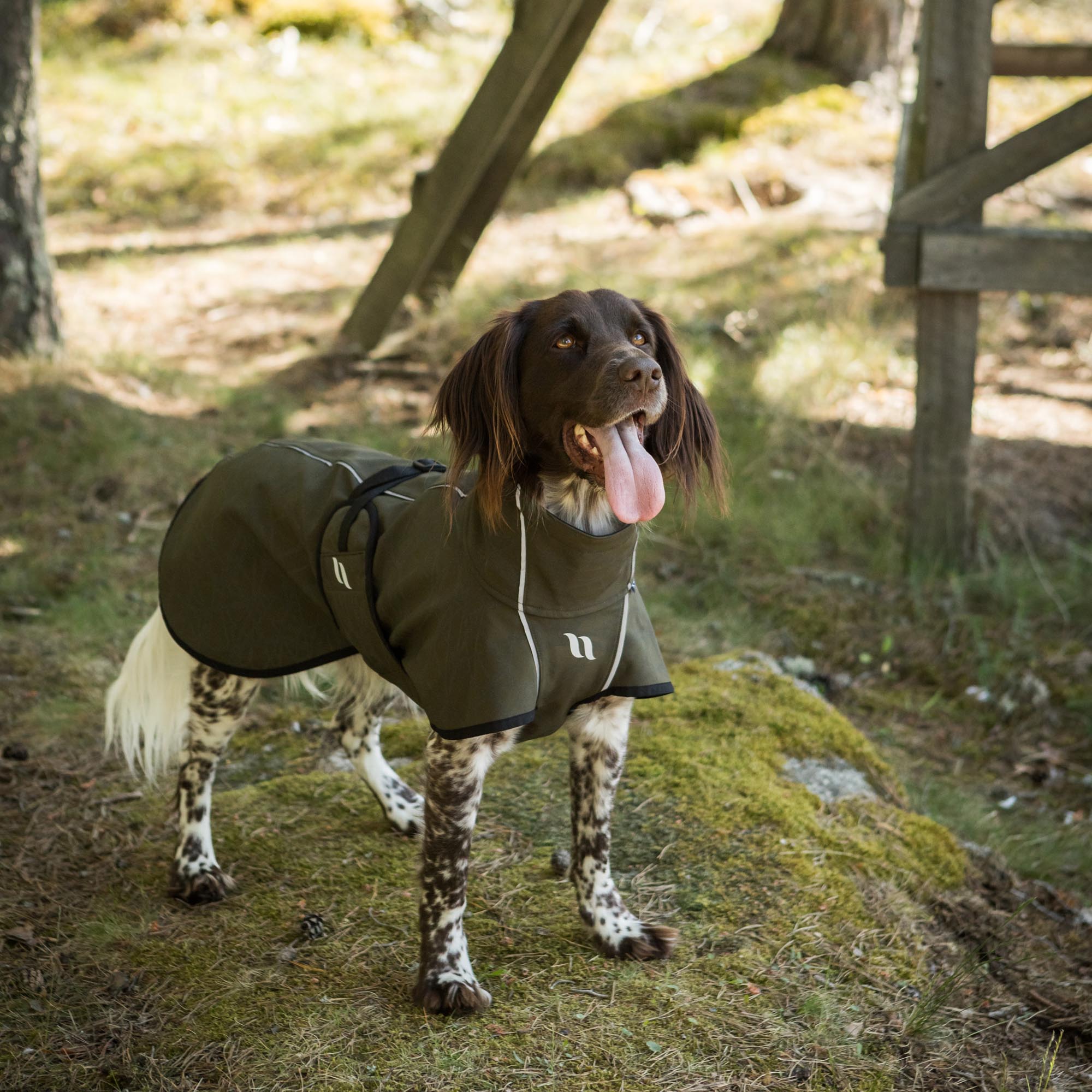 Back on Track Softshell Koiran Peitto Bark - Olive - 2