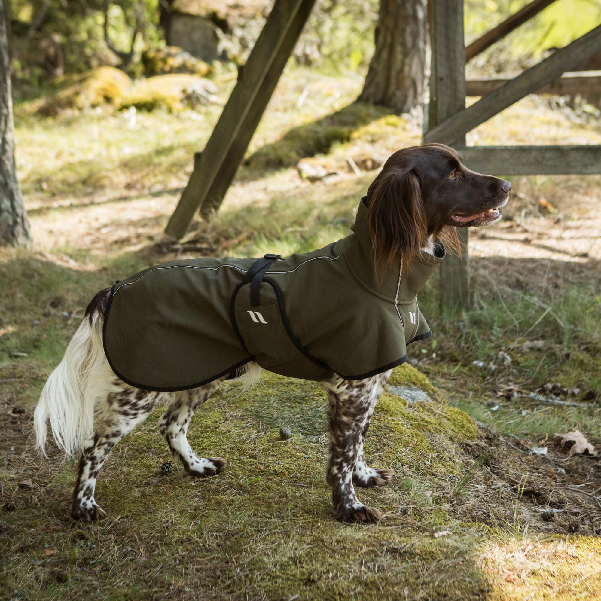 Back on Track Softshell Koiran Peitto Bark - Olive - 3