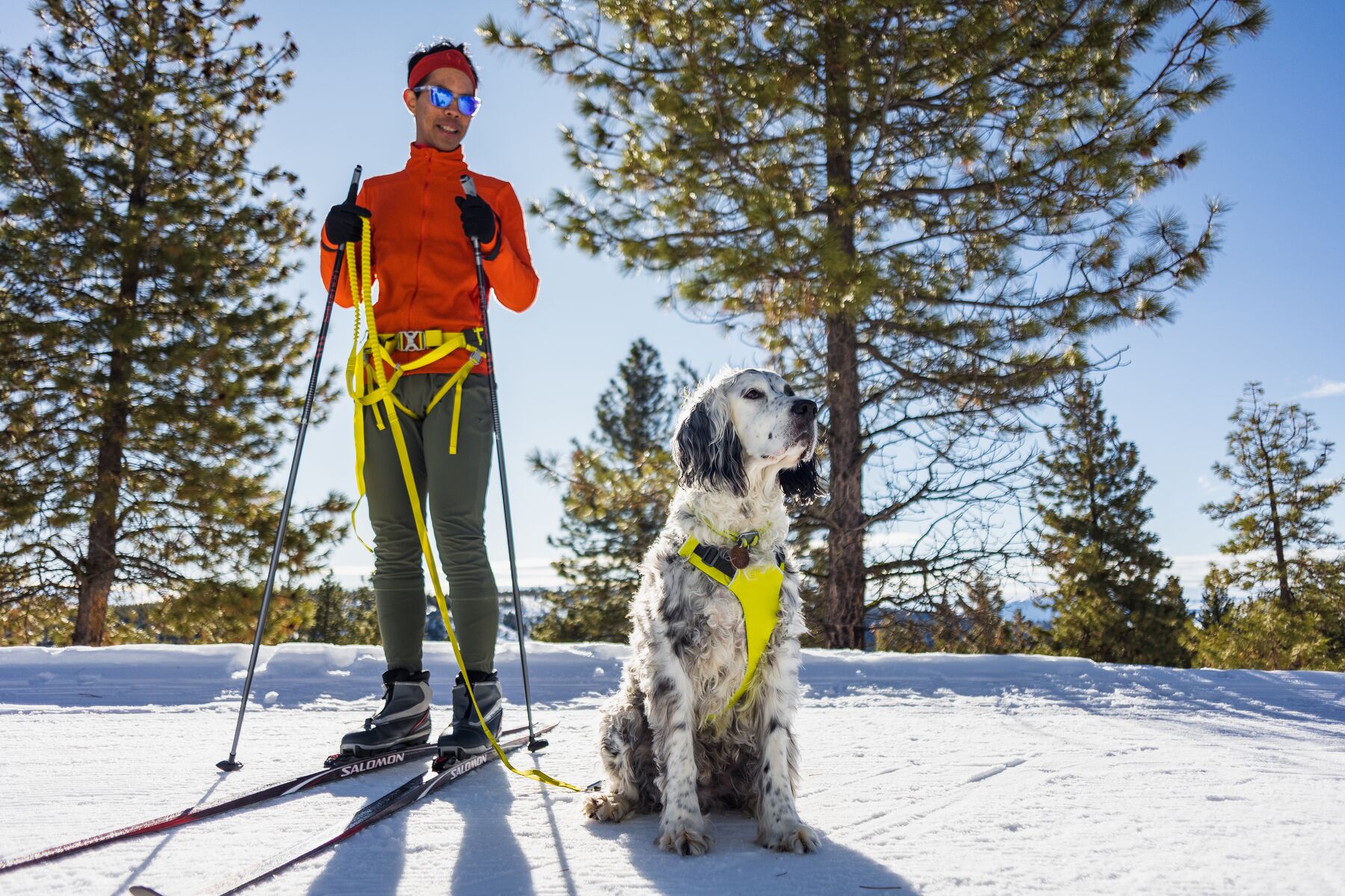Ruffwear Omnijore Joring System - Lichen Green - 5