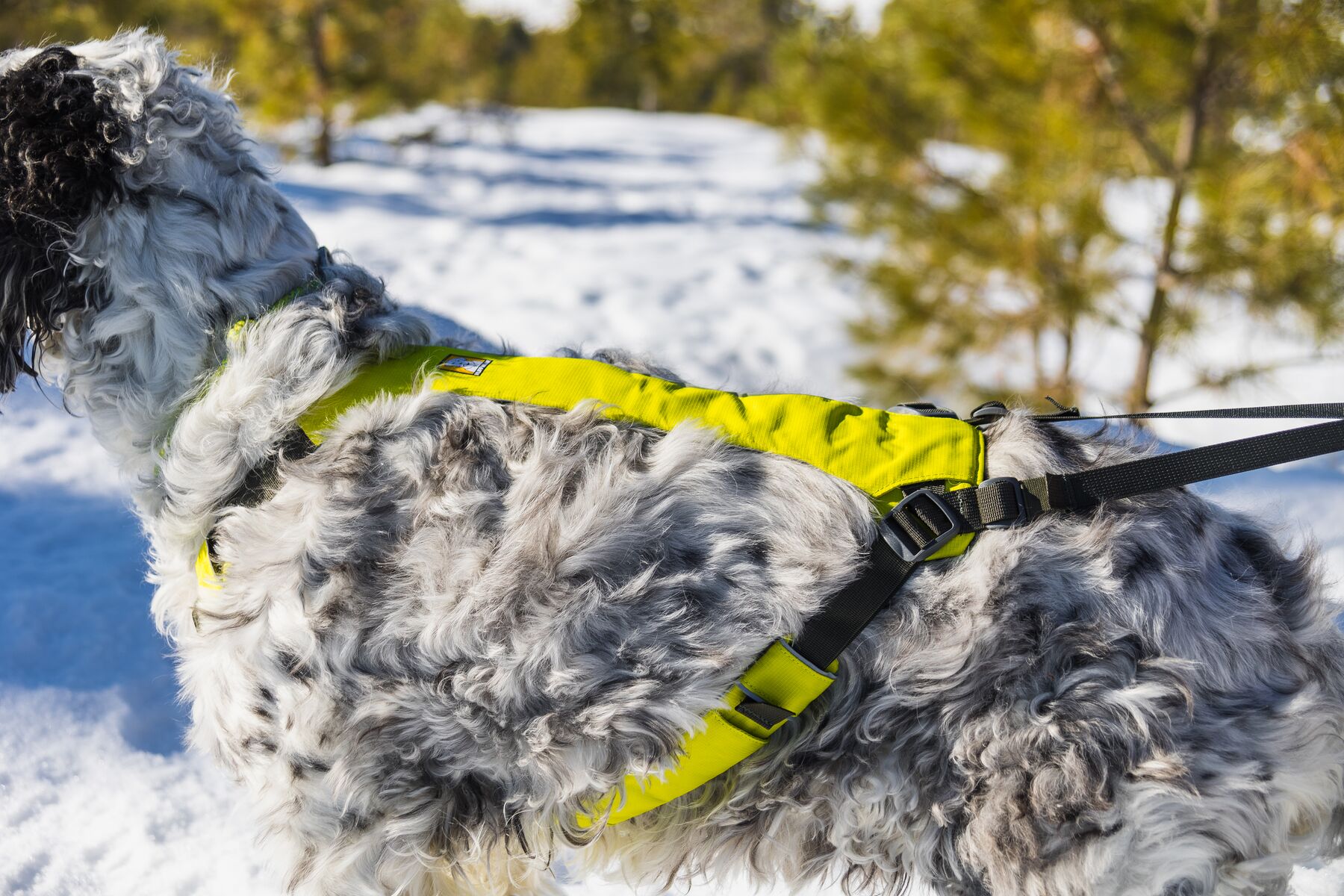 Ruffwear Omnijore Joring System - Lichen Green - 11