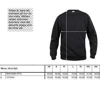 Jubileum Raglan Hoodie Herr