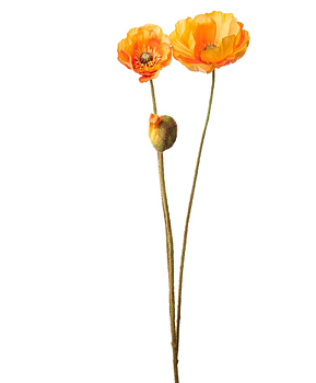 Vallmo Orange 75cm – Konstgjord Snittblomma