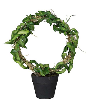 Hoya 30 cm – Konstgjord Växt i Kruka