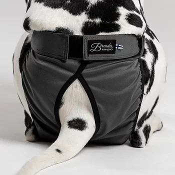 Finnero Brenda Tikskydd Grå