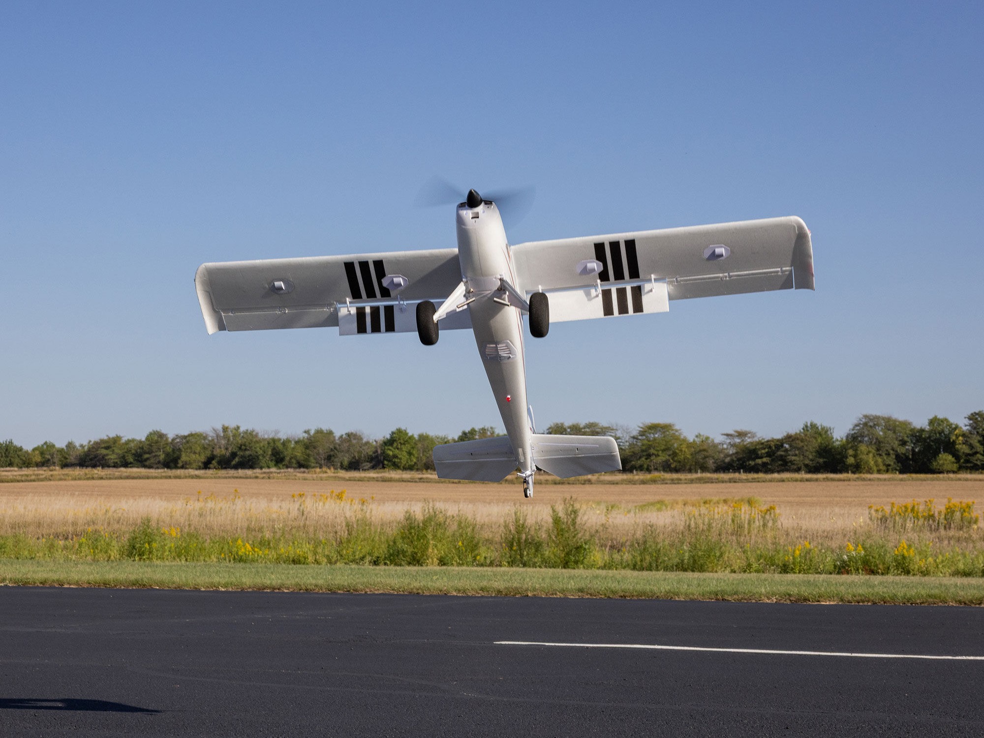 E-Flite EFL-3353 Timber 1.5m 10th Anniversary Special Edition PNP - 18