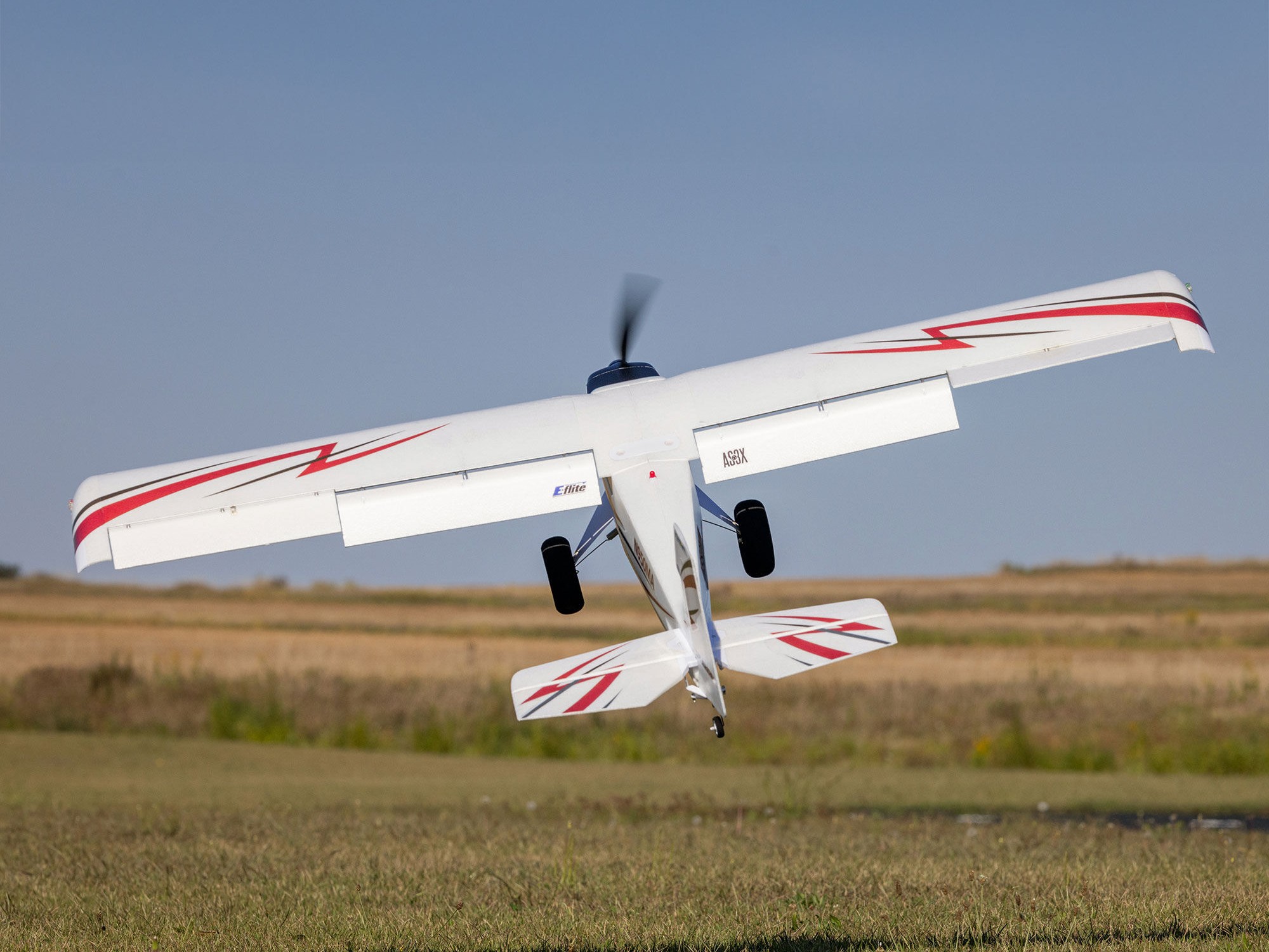 E-Flite EFL-3353 Timber 1.5m 10th Anniversary Special Edition PNP - 17