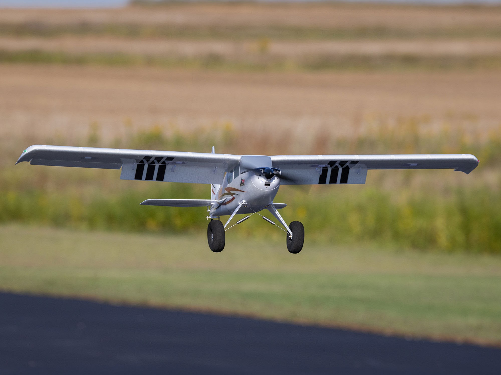 E-Flite EFL-3353 Timber 1.5m 10th Anniversary Special Edition PNP - 19