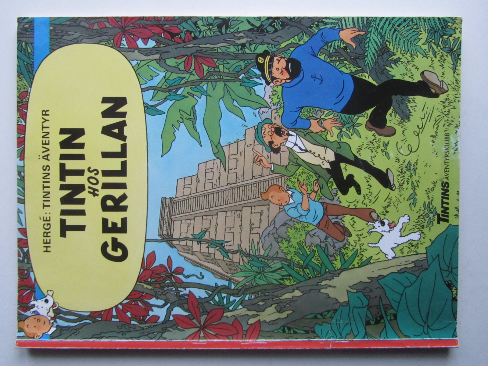 Tintin 23 Tintin hos gerillan
