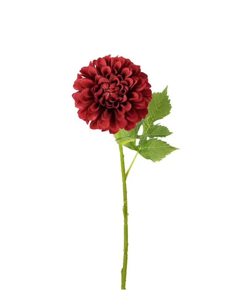 Konstväxt Dahlia Vinröd - 50 cm - 3