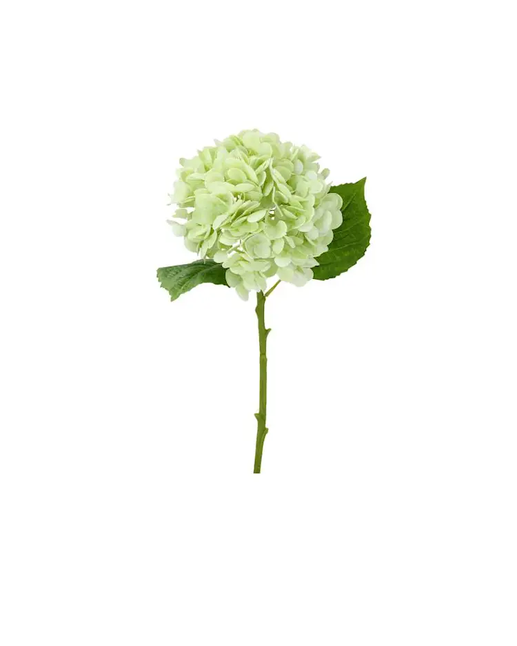Konstväxt Hortensia Grön - 50 cm - 3