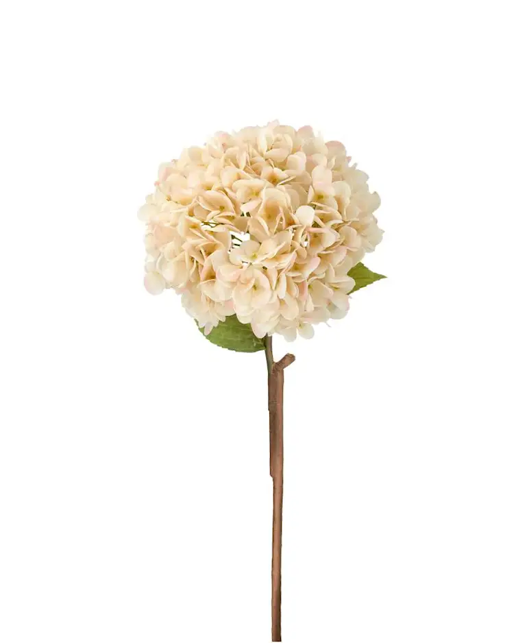 Artificial Hydrangea Apricot - 84 cm - 2