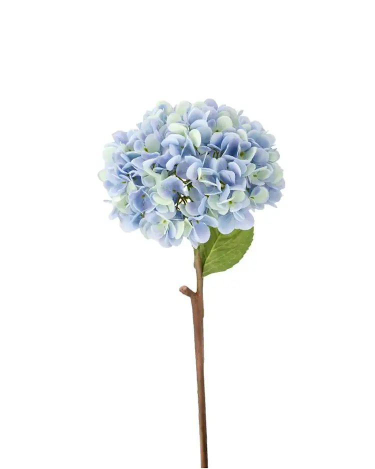 Konstväxt Hortensia Blå - 84 cm - 3