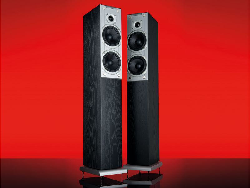 Audiovector Ki3 Signature 'Black Ash'