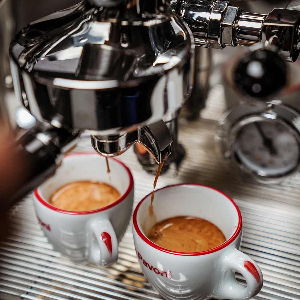 La Pavoni Botticelli Specialty LPSBSS03NO - Halvautomatisk - 11