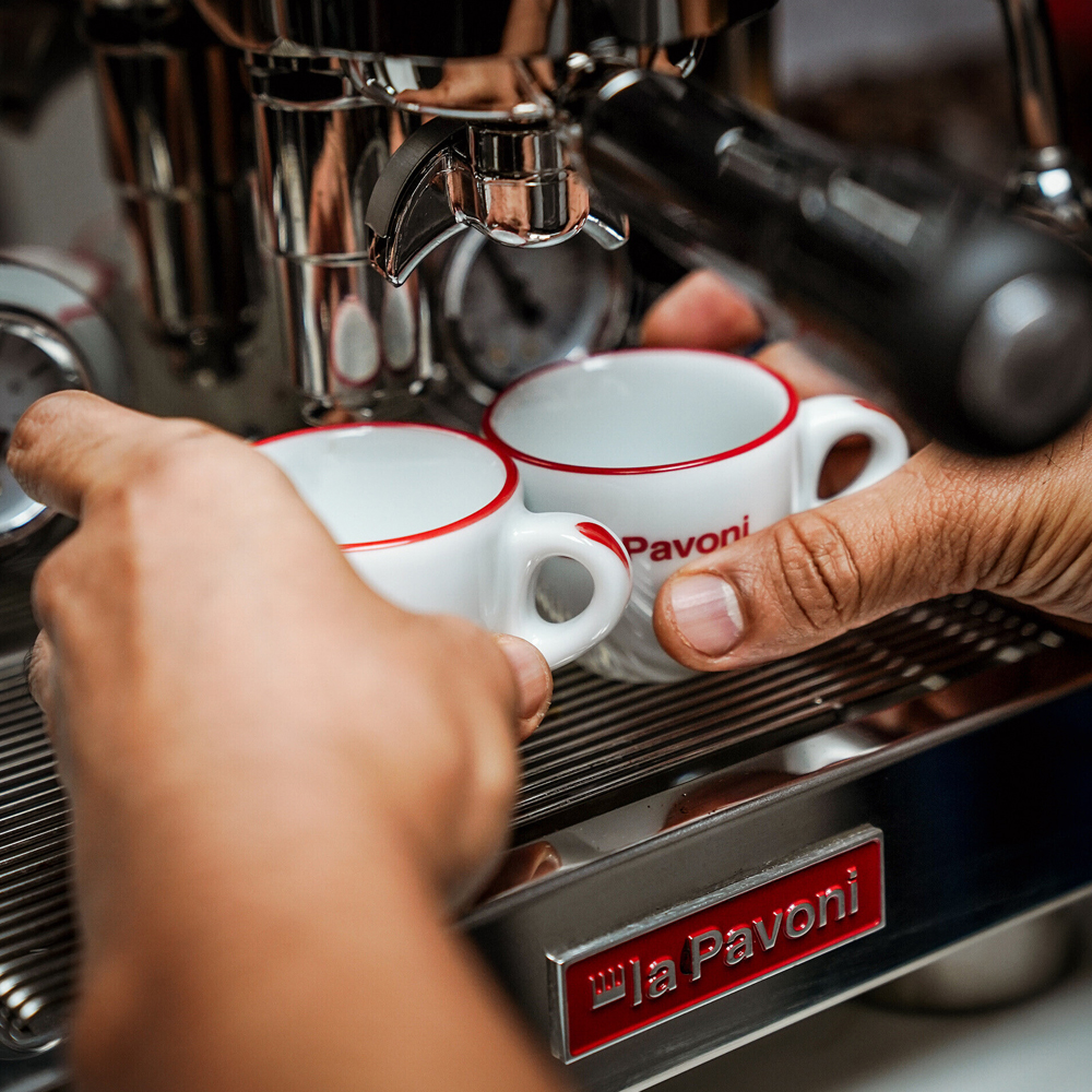 La Pavoni Botticelli Specialty LPSBSS03NO - Halvautomatisk - 9