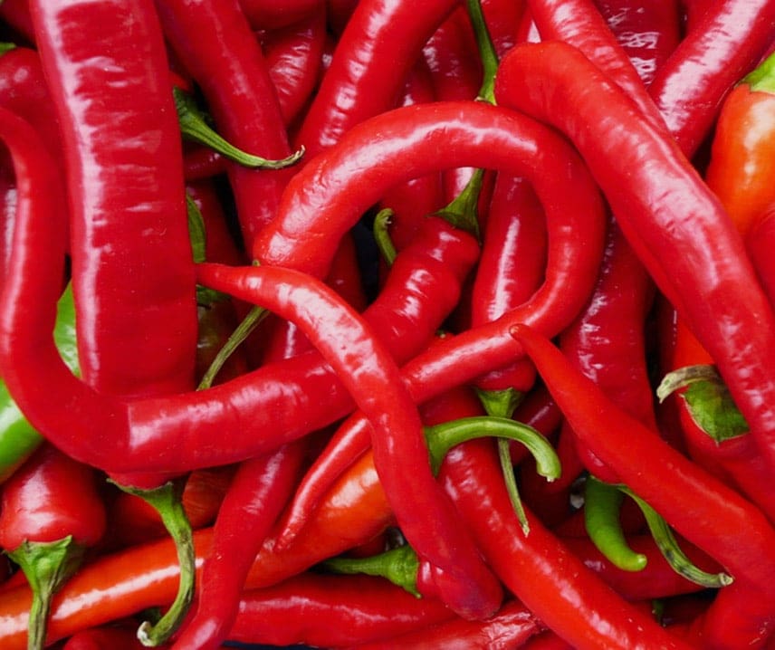 Chili/Peperoni Lombardo 15 frö