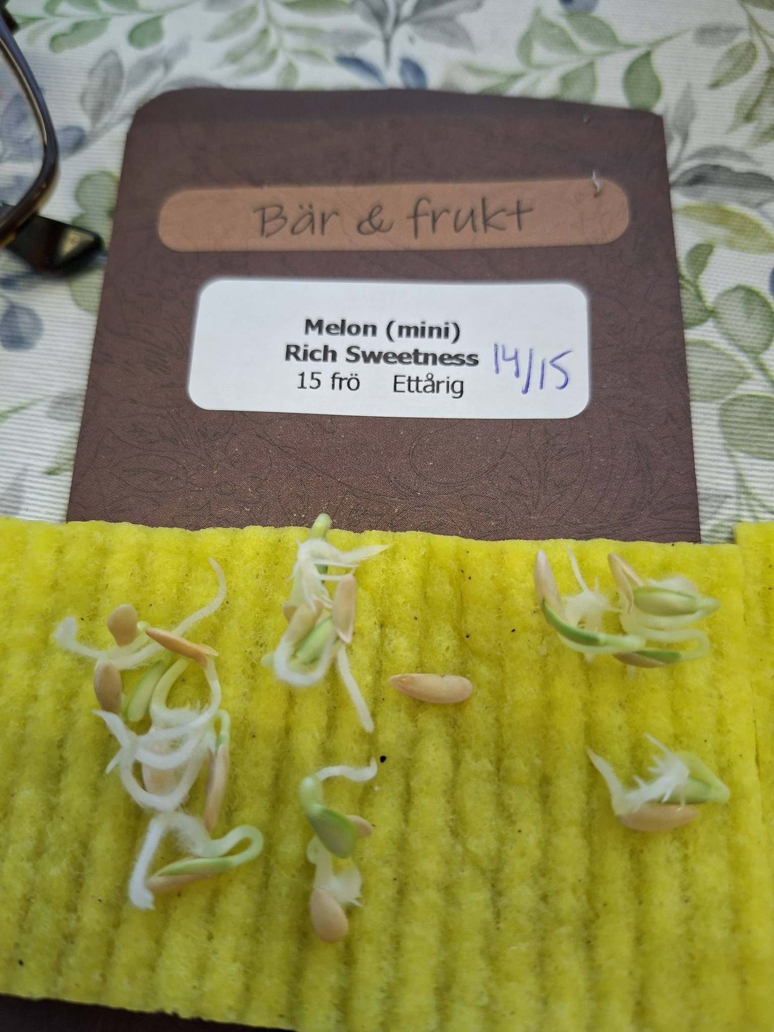 Melon (mini)  Rich Sweetness 15 frö - 2