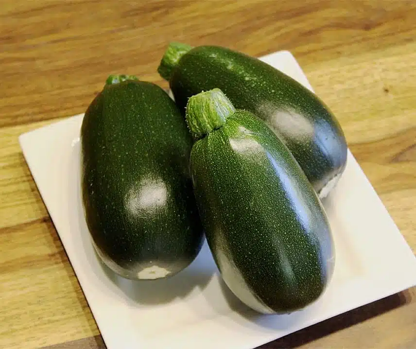 Squash  F1 Green Griller 5 frö