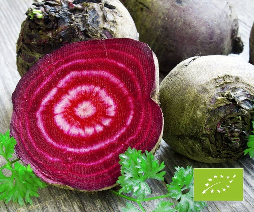 Rödbeta Tonda di Chioggia, ekologisk 50 frö