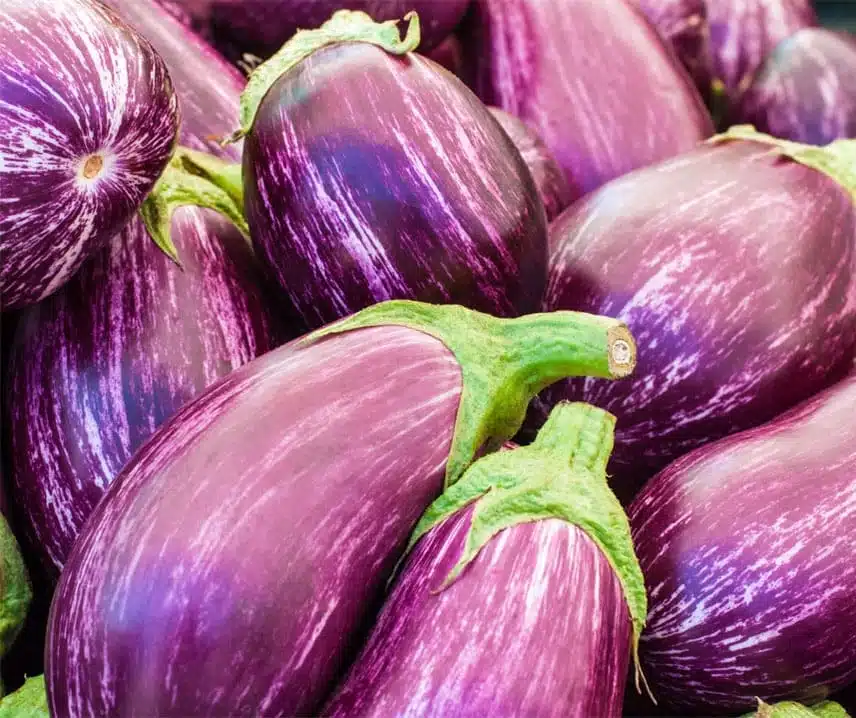 Aubergine Tsakoniki 5 frö