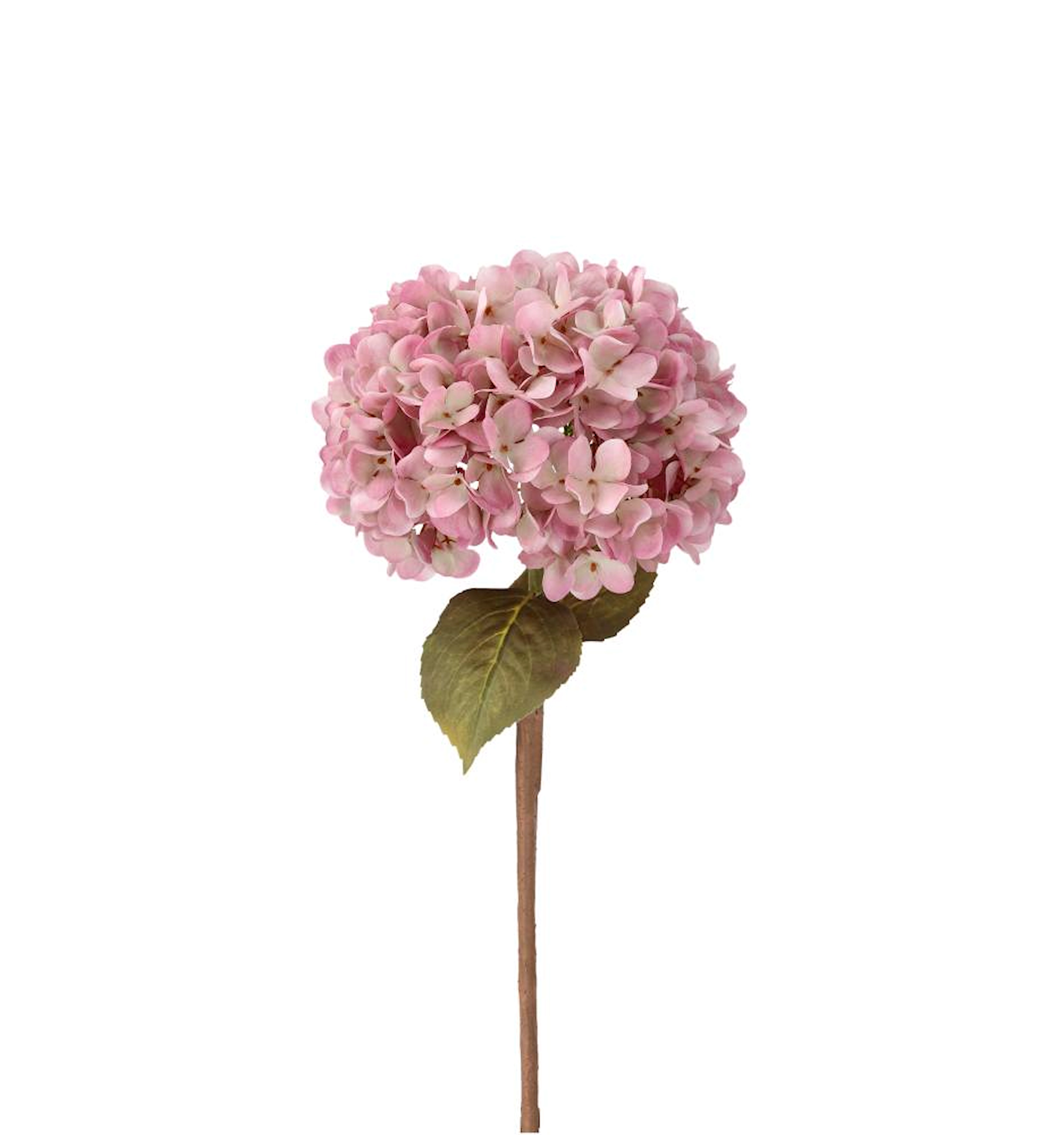 Konstväxt Hortensia Rosa - 84 cm  - 2