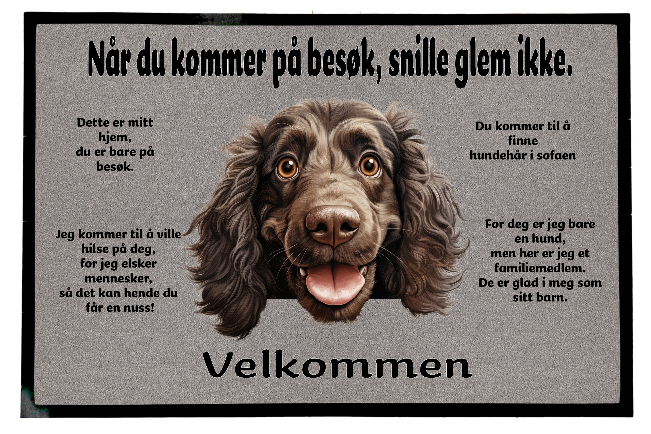 Dørmatte Boykin Spanie 1