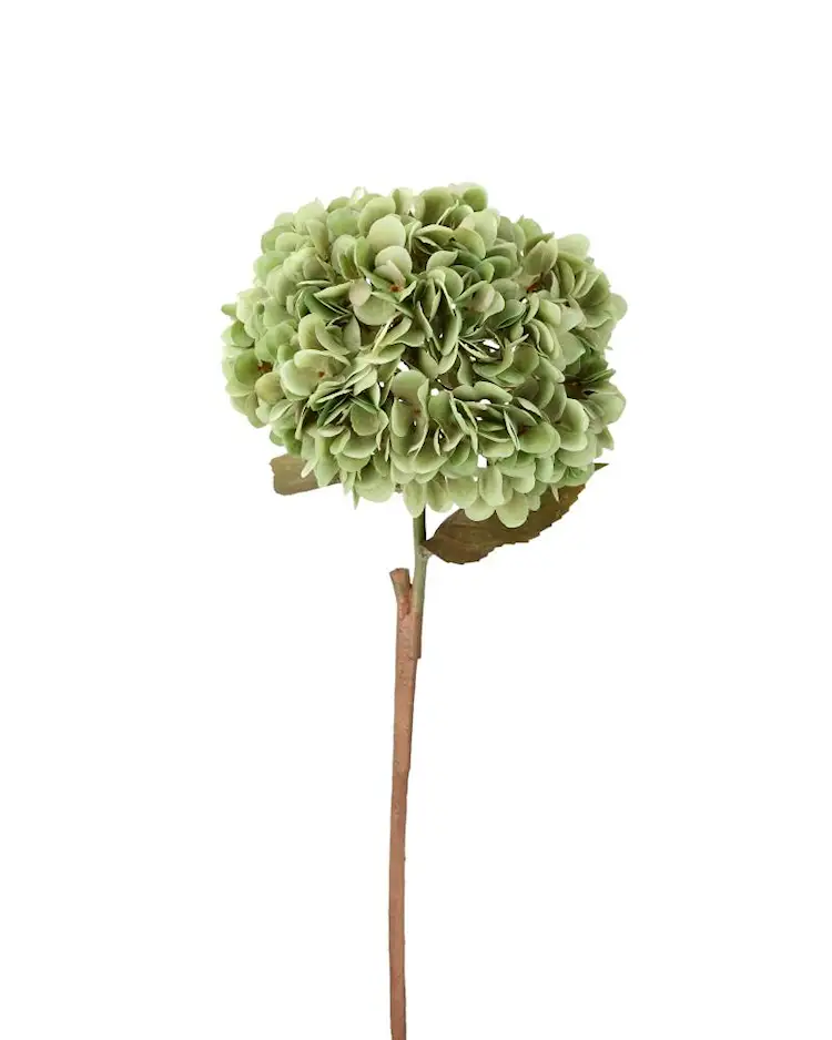 Konstväxt Hortensia Grön - 84 cm - 3