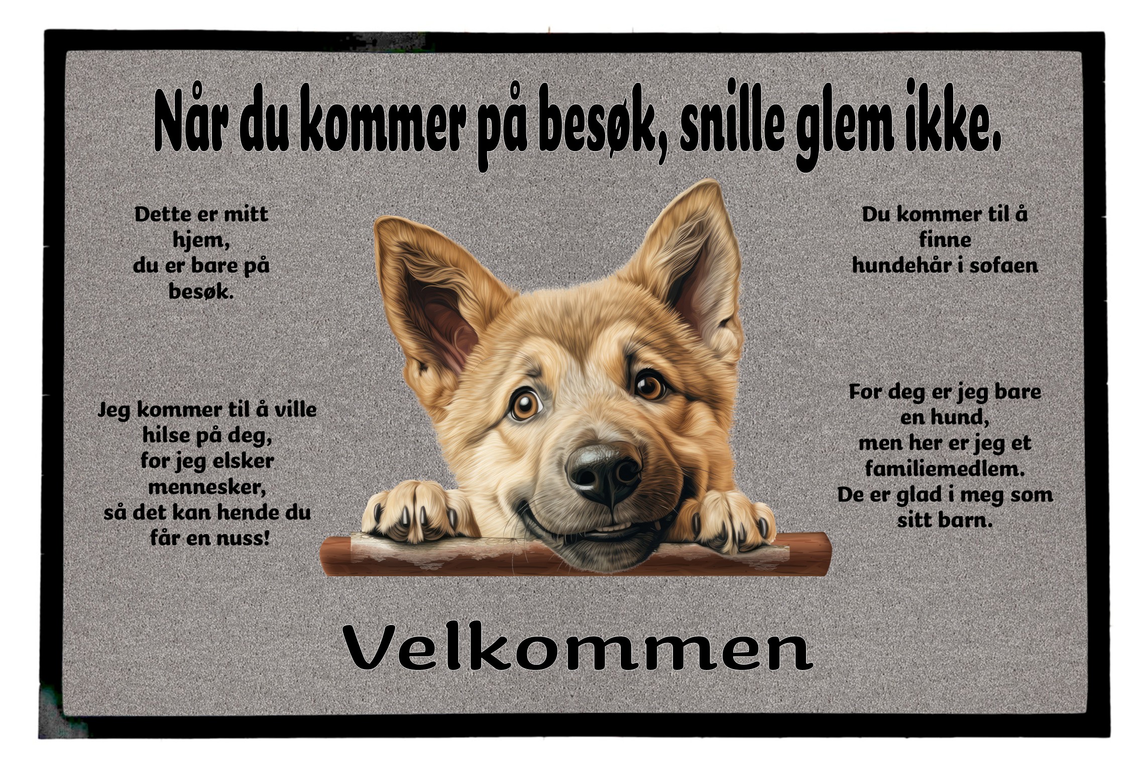 Dørmatte Chinook 1