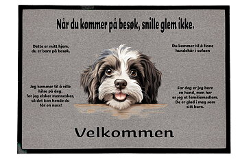 Dørmatte Havaneser 2