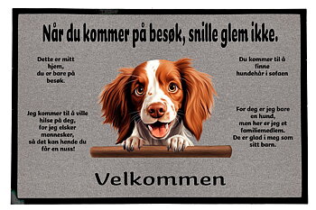 Dørmatte Irish rød og hvit setter 1
