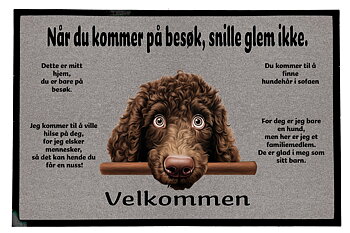 Dørmatte Irish vannspaniel 1