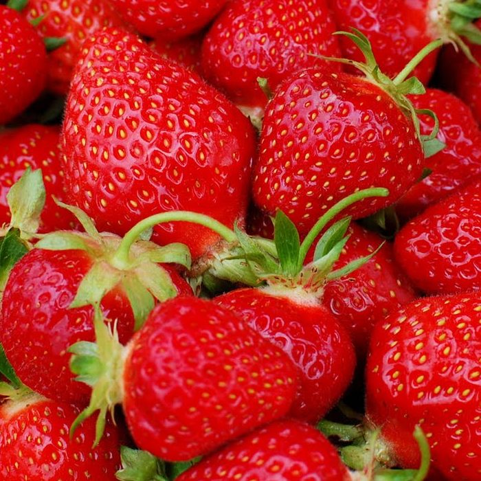 Fragaria ananassa Sengana  I  Svenskt namn  :Jordgubbe  I  Krukstorlek   : 10,5c  I  Förväntad Höjd  :  20 cm  I  Blomningstid :  maj-juni - 2