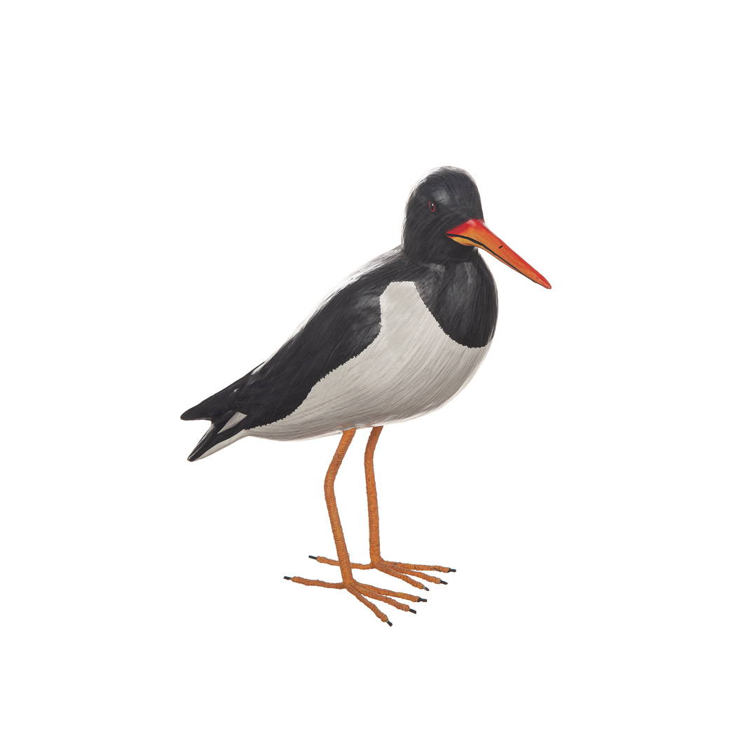 Strandskata / 17cm