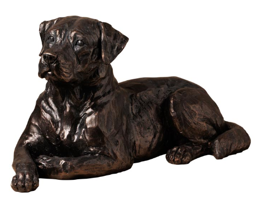 Labrador