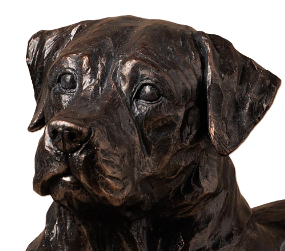 Labrador - 2