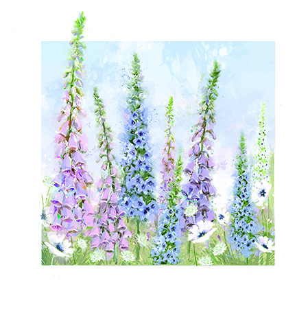 Bday Open / Country Meadow, Greeting Card