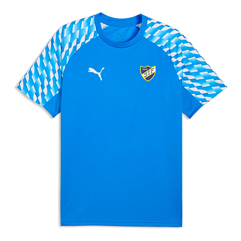 Puma Teamliga26 Jersey Sr (Jämshög IF)