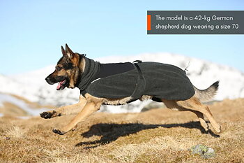 Non-stop Wool Dog Jacket Dark Teal