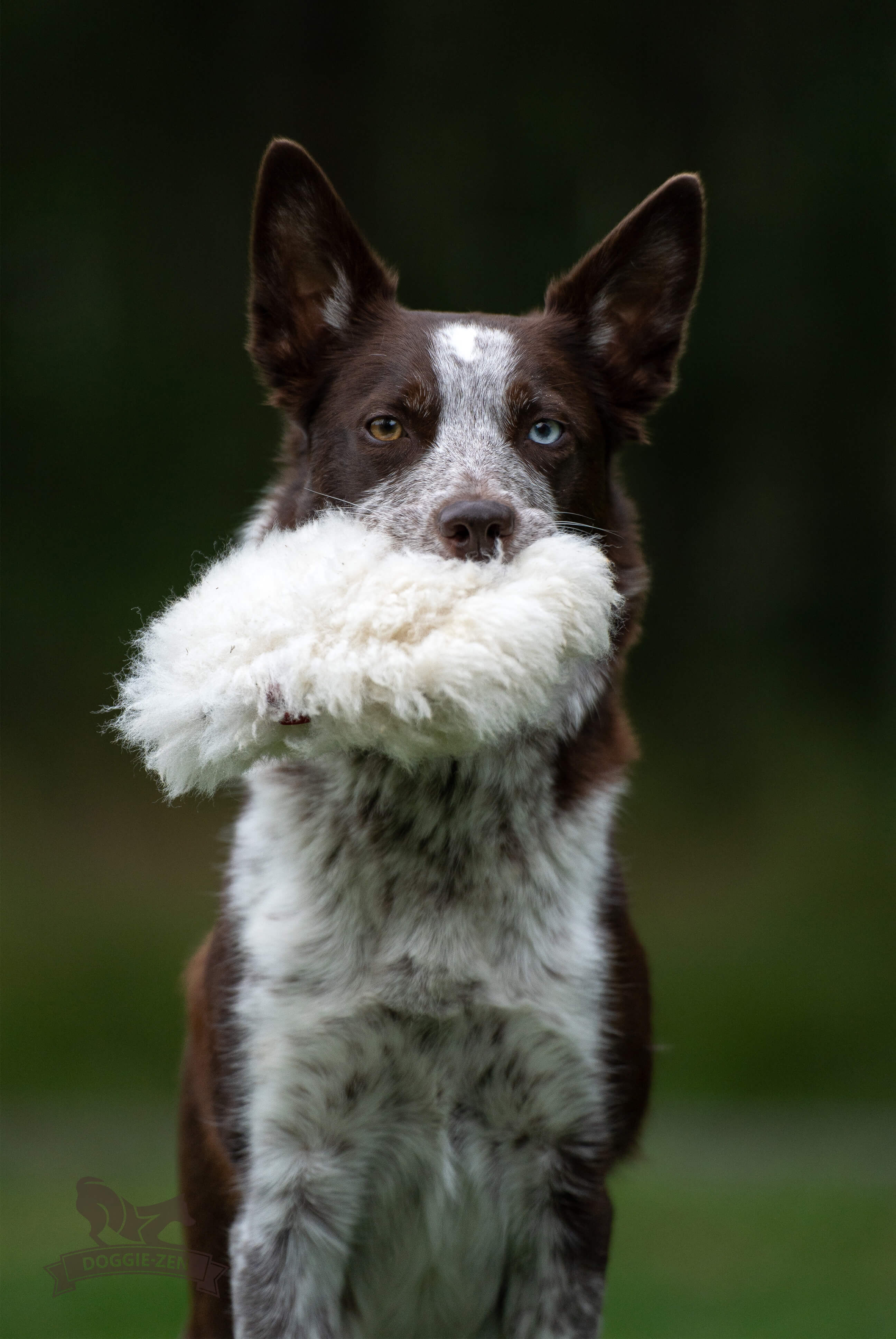 Treat Pocket Sheepskin L - 6