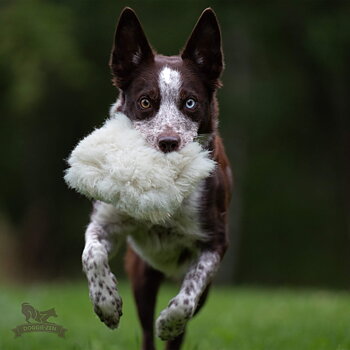 Treat Pocket Sheepskin L