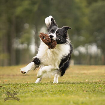 Treat Pocket Sheepskin M