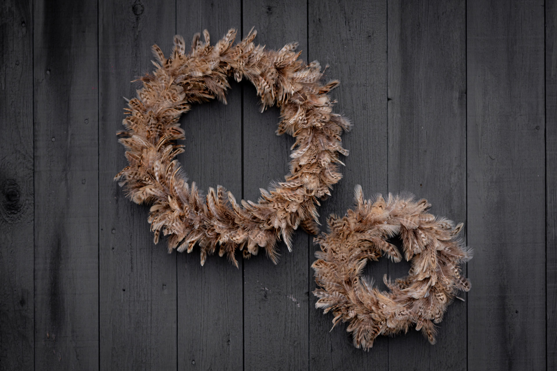 Wreath Feather Border - Ø37 cm - 5