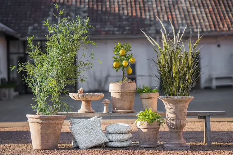 Garden decoration Brimo bird bath - Ø48 cm