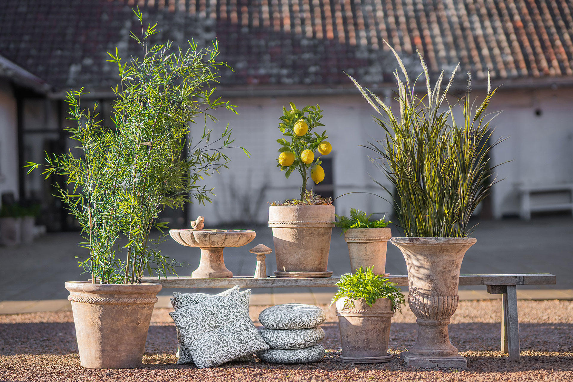 Set with Fortuna Outdoor Pots - Ø38/50 cm - 2