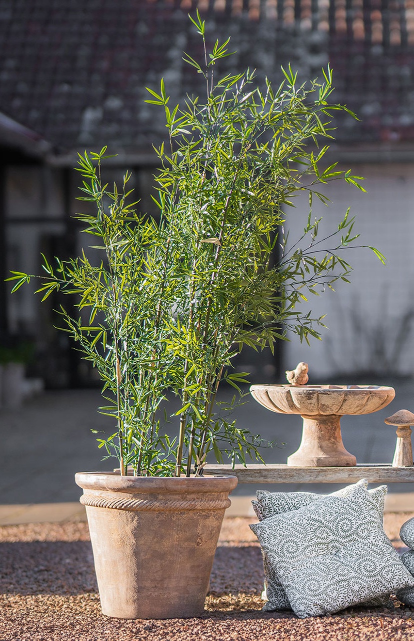 Set with Fortuna Outdoor Pots - Ø38/50 cm