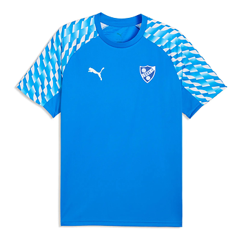 Puma Teamliga26 Jersey Sr (Lörby IF)