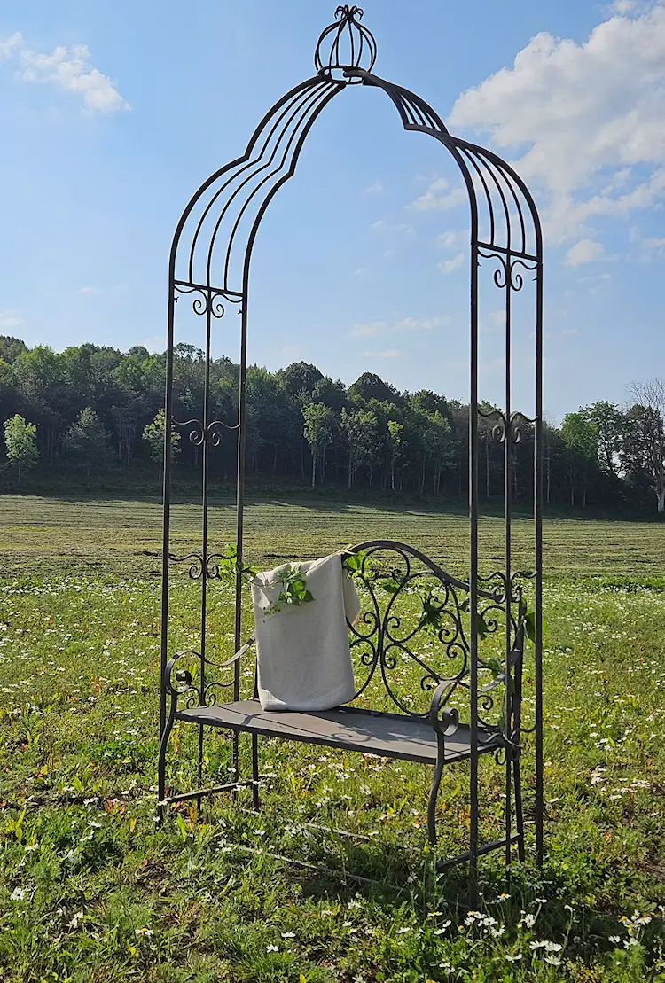 Plant support Rose arch Crown Metal - 252 cm - 3